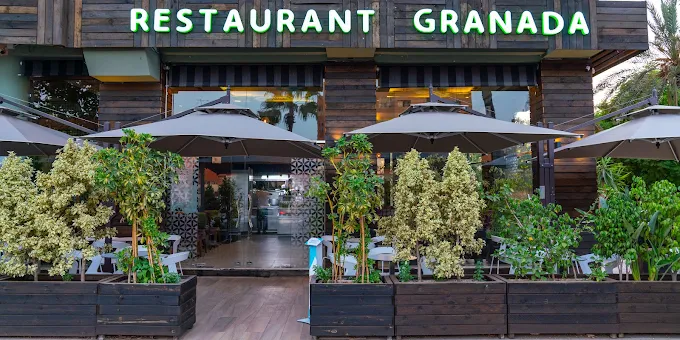 Restaurant interior with plants and warm lighting